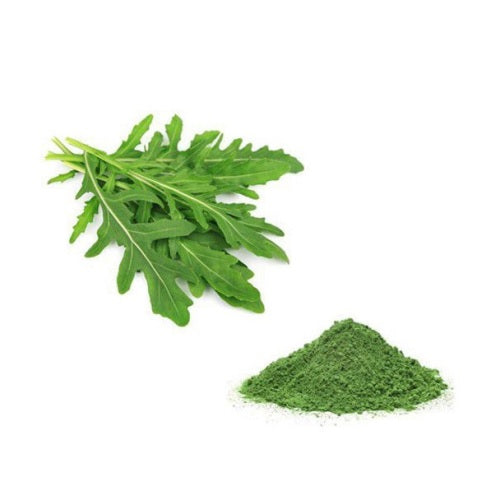 Arugula Powder: Top benefits of Arugula Powder - REVEDA