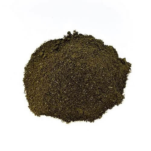 Top Benefits of Guayusa Powder