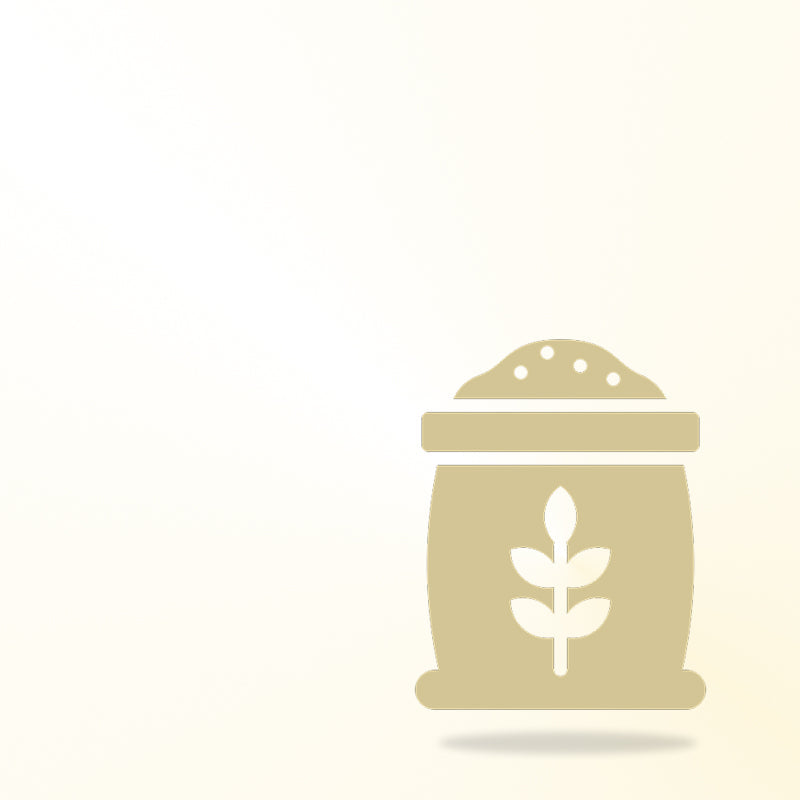 Fermented Flours