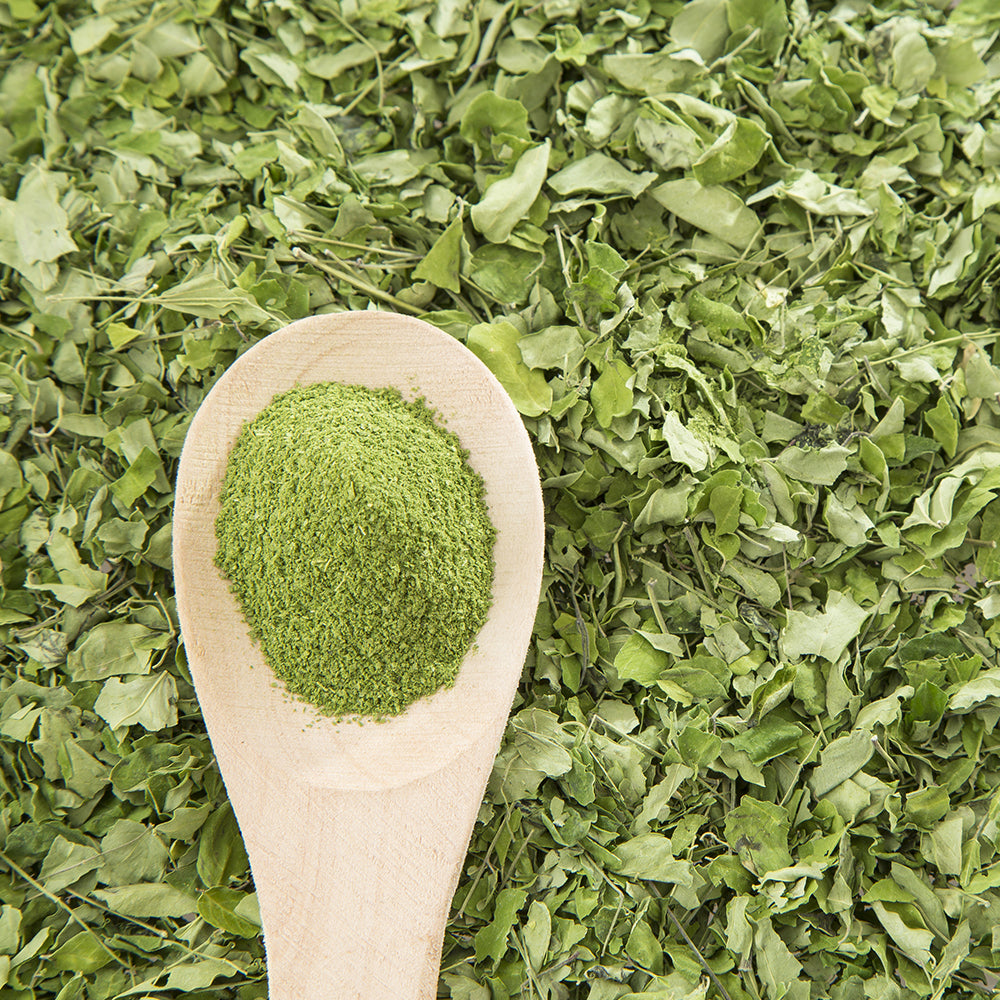 Moringa Products