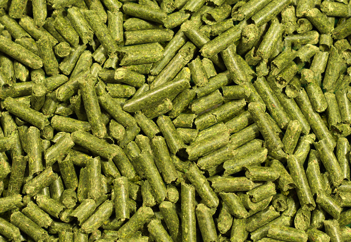 Moringa Pellets, Animal & Vet Nutrition