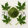 Chaya Powder