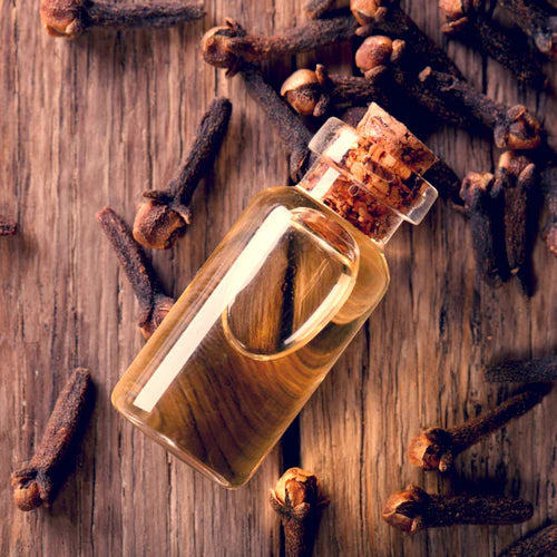 Clove Bud Essential Oil