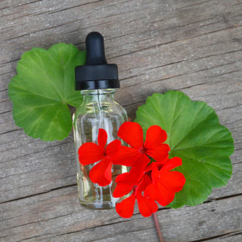 Egyptian (rose) Geranium Essential Oil