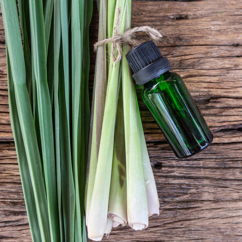 Lemon Grass Essential Oil