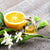 Neroli Essential Oil