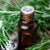 Rosemary Essential Oil