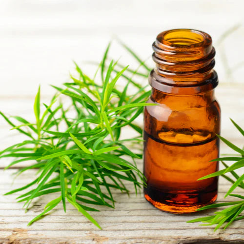 Tea Tree Essential Oil