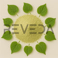 Abuta Grandifolia Extract Powder