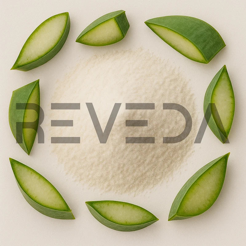 Agave Inulin Powder