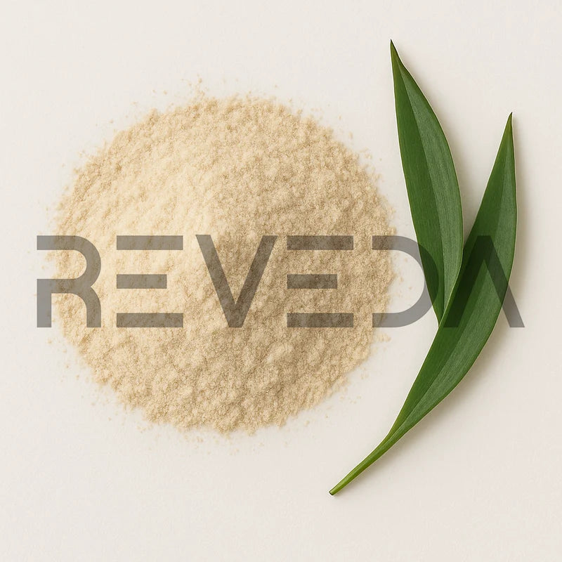 Agave Powder
