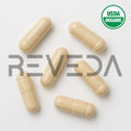 Angelica Capsules
