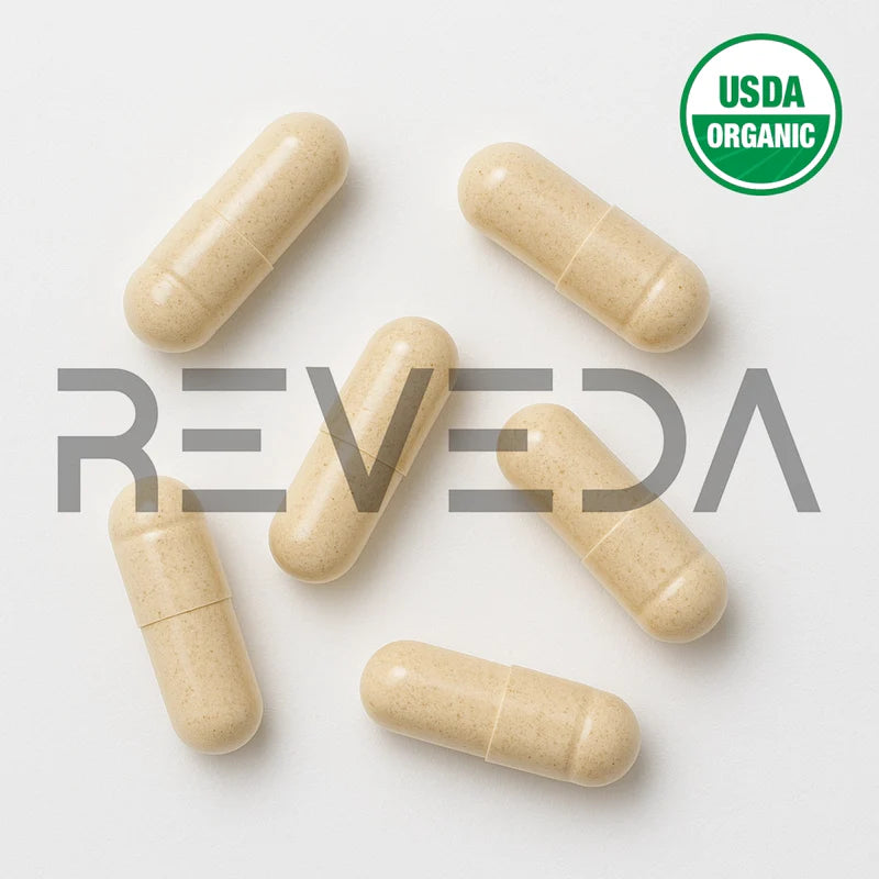 Angelica Capsules