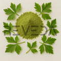 Ashitaba Powder
