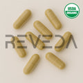 Ashoka Capsules