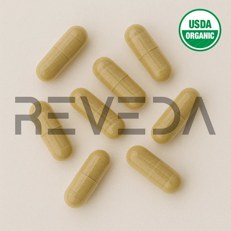 Ashoka Capsules