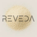 Bacillus Coagulans Probiotic Powder