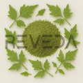 Balloon Vine Leaf Powder