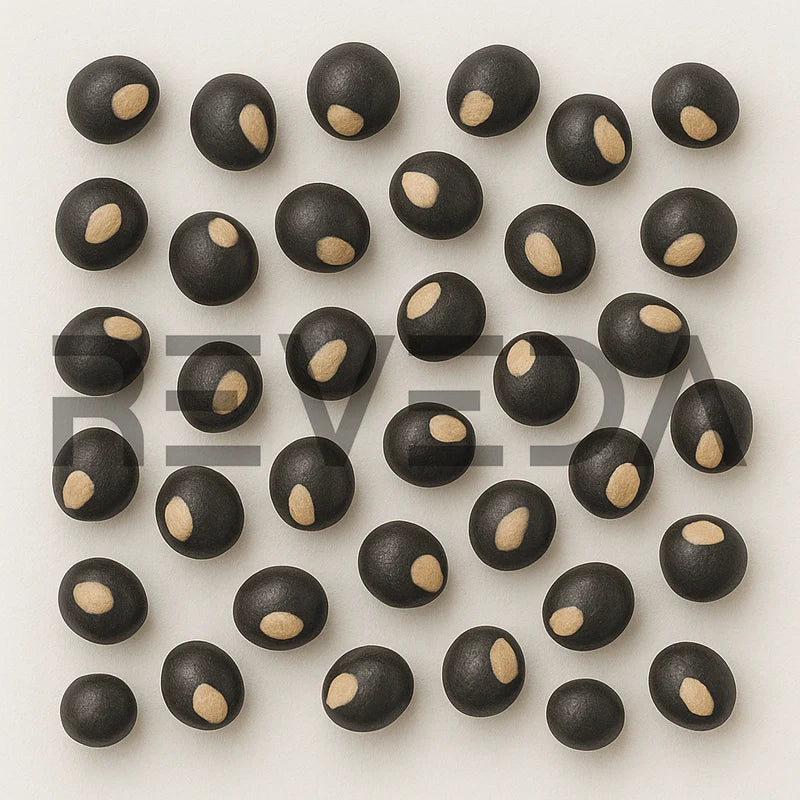 Balloon Vine Seeds