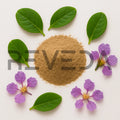 Banaba Extract Powder