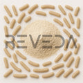 Bifidobacterium Longum Probiotic Powder