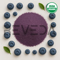 Bilberry Juice Powder