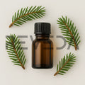 Black Spruce Essential Oil