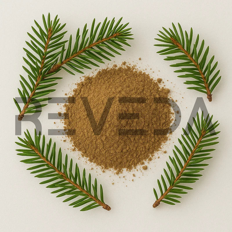 Black Spruce Powder