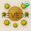 Blessed Thistle Extract Powder