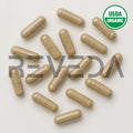 Blue Vervain Capsules