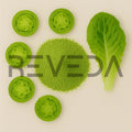 Butterhead Lettuce Powder
