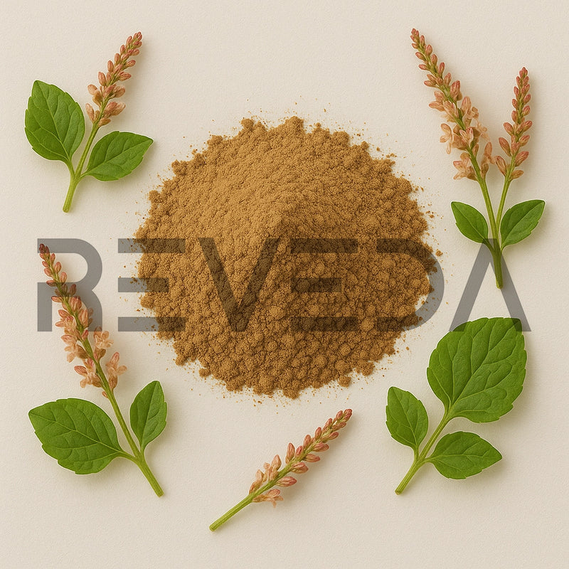 Canaigre Powder