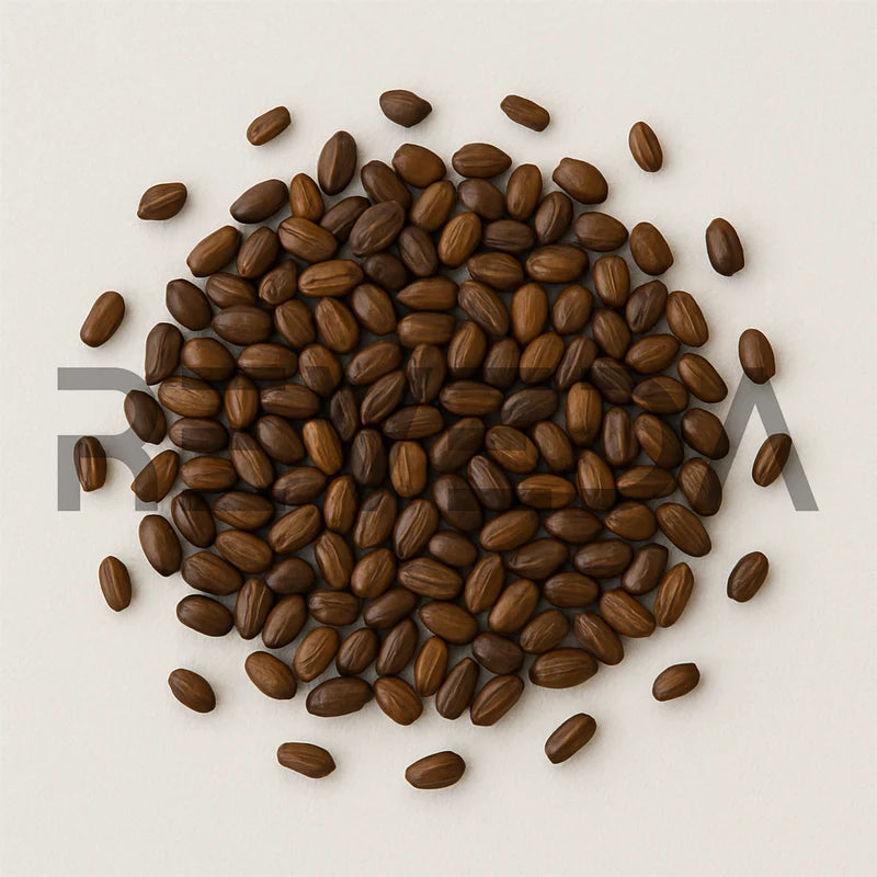 Cassia Seeds