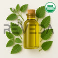 Catnip Essential Oil