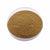 Chanca Piedra Extract Powder