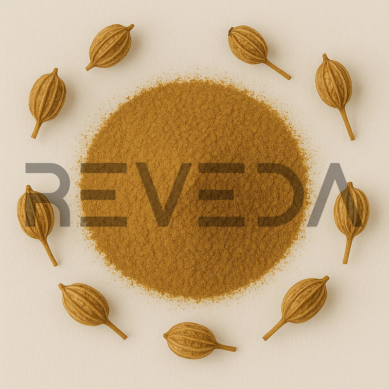 Cnidium Powder