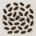 Comfrey Seeds