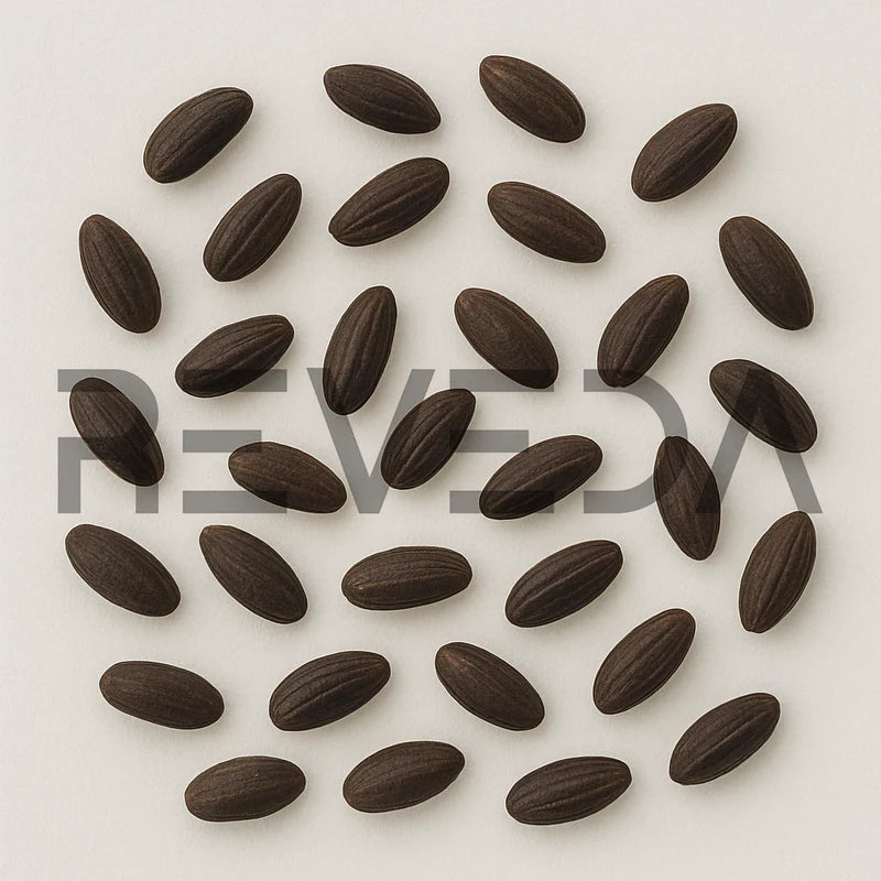 Comfrey Seeds