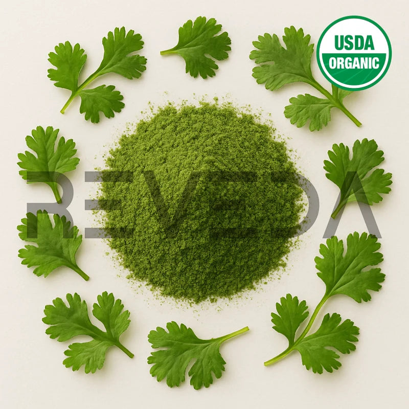 Coriander Leaf Powder