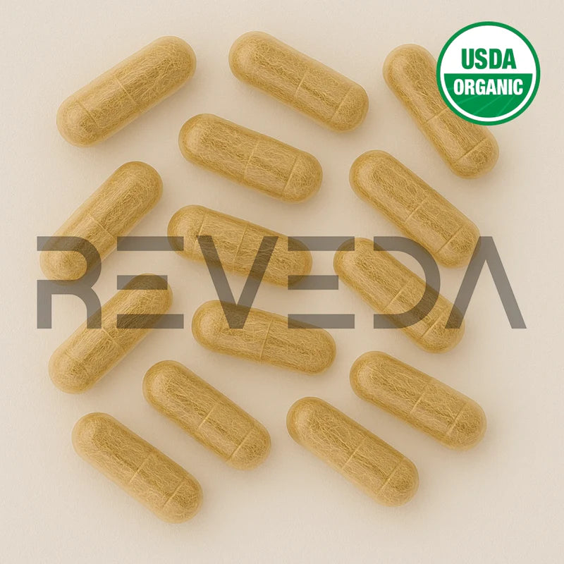 Corn silk Capsules
