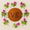 Corydalis Powder