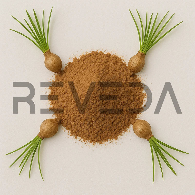 Cyperus Rhizome Powder