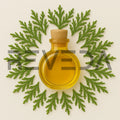 Cypress Essential Oil