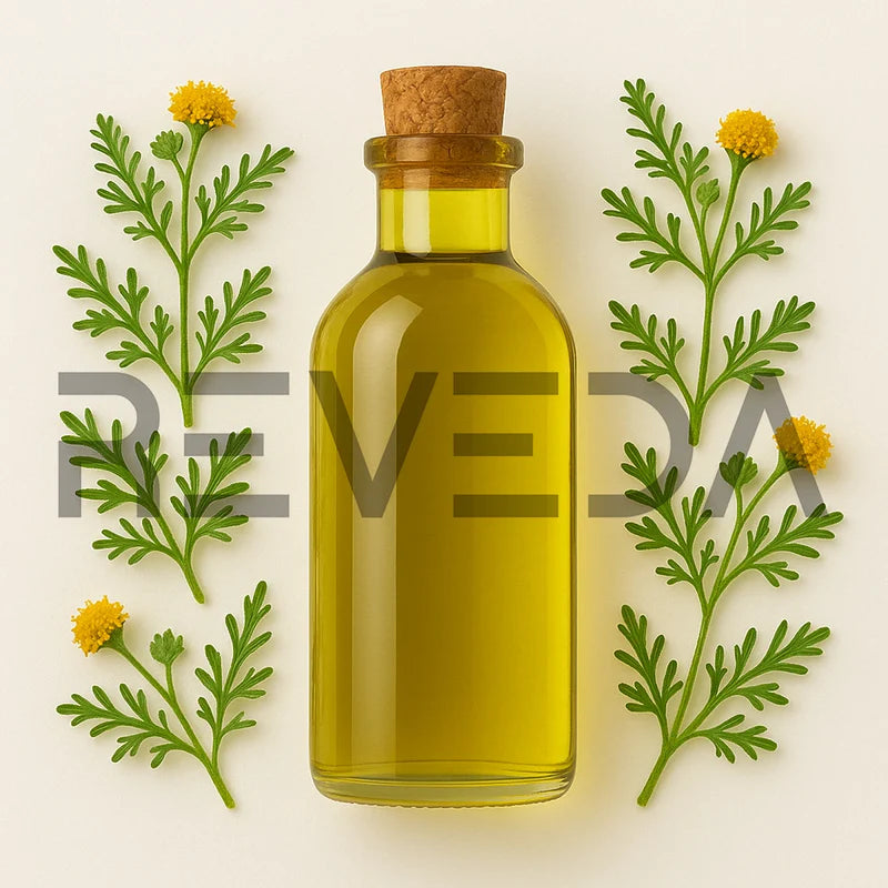 Davana Essential Oil