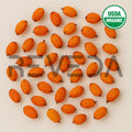 Dried Sea Buckthorn Berries
