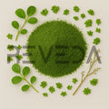 Duckweed Powder