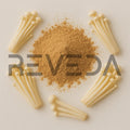 Enoki Mushroom Extract Powder