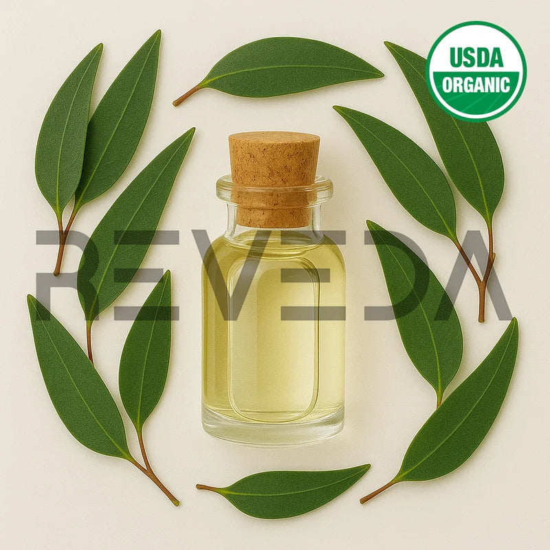 Eucalyptol Essential Oil