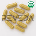 Fennel Seed Capsules