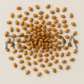 Fig Seeds